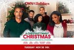 Watch A Chestnut Family Christmas Zoechip