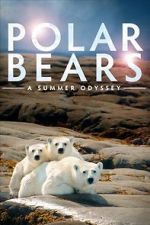 Watch Polar Bears: A Summer Odyssey Zoechip