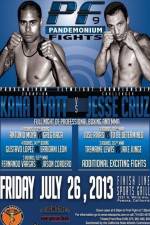 Watch Pandemonium Fights 9 Zoechip