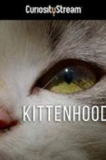 Watch Kittenhood Zoechip