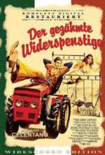 Watch The Taming of the Scoundrel Zoechip