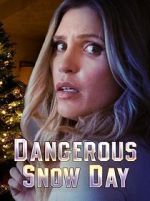 Watch Dangerous Snow Day Zoechip