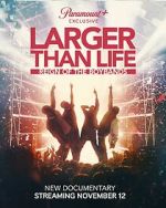 Watch Larger Than Life: Reign of the Boybands Zoechip