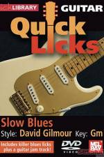 Watch Lick Library Quick Licks David Gilmour Zoechip