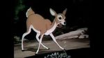 Watch Wacky Wildlife (Short 1940) Zoechip