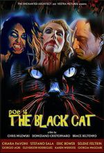 Watch POE 4: The Black Cat Zoechip