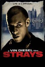 Watch Strays Zoechip