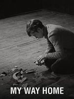 Watch My Way Home Zoechip