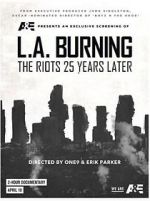 Watch L.A. Burning: The Riots 25 Years Later Zoechip