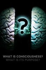 Watch What Is Consciousness? What Is Its Purpose? Zoechip