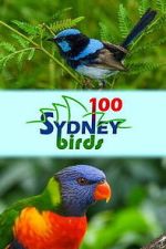 Watch 100 Sydney Birds Zoechip