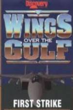 Watch Wings Over the Gulf Vol  1  First Strike Zoechip