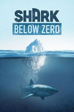 Watch Shark Below Zero Zoechip
