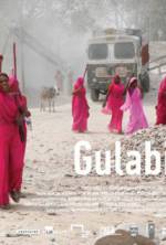 Watch Gulabi Gang Zoechip