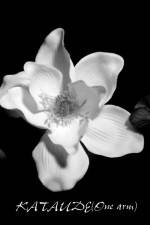 Watch Kataude Zoechip