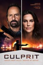 Watch Culprit Zoechip