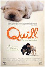 Watch Quill: The Life of a Guide Dog Zoechip