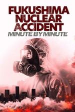 Watch Fukushima Nuclear Accident - Minute by minute Zoechip