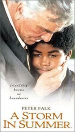 Watch A Storm in Summer Zoechip