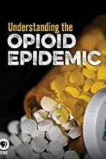 Watch Understanding the Opioid Epidemic Zoechip