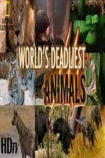 Watch National Geographic - Worlds Deadliest Animal Battles Zoechip