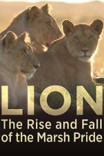 Watch Lion: The Rise and Fall of the Marsh Pride Zoechip