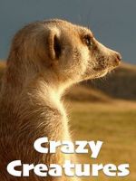 Watch Crazy Creatures Zoechip