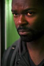 Watch Complicit Zoechip