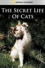Watch The Secret Life of Cats Zoechip