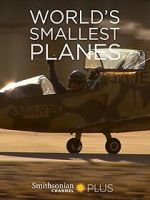 Watch World\'s Smallest Planes Zoechip