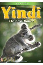Watch Yindi the Last Koala Zoechip