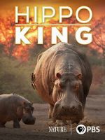 Watch Hippo King Zoechip