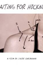 Watch Waiting for Hockney Zoechip