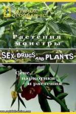 Watch National Geographic Wild: Sex Drugs and Plants Zoechip