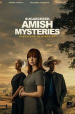 Watch Sugarcreek Amish Mysteries: Blessings in Disguise Zoechip
