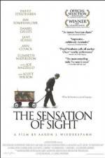 Watch The Sensation of Sight Zoechip