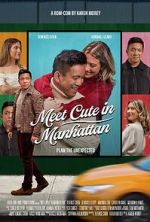 Watch Meet Cute in Manhattan Zoechip