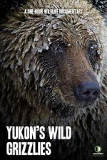 Watch Yukon\'s Wild Grizzlies Zoechip
