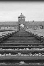 Watch AUSCHWITZ: ORDERS AND INITIATIVES Zoechip