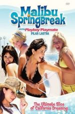 Watch Malibu Spring Break Zoechip