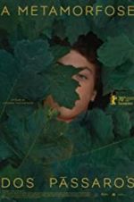 Watch The Metamorphosis of Birds Zoechip