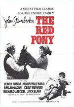 Watch The Red Pony Zoechip