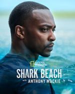 Watch Shark Beach with Anthony Mackie Zoechip