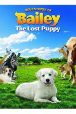 Watch Adventures of Bailey The Lost Puppy Zoechip