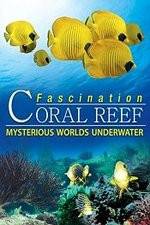 Watch Fascination Coral Reef: Mysterious Worlds Underwater Zoechip