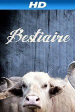 Watch Bestiaire Zoechip