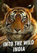Watch Into the Wild India Zoechip