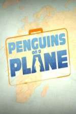 Watch Penguins on a Plane Zoechip