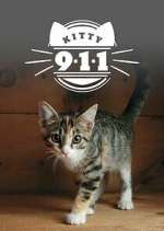 Watch Kitty 911 Zoechip