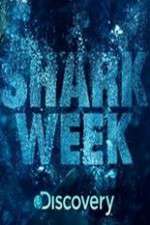 Watch Shark Week Zoechip